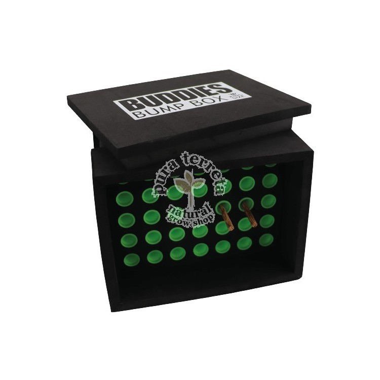 Cargador 34 Conos Buddies Bump KS