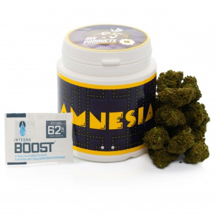 Flores CBD Amnesia Bee Products