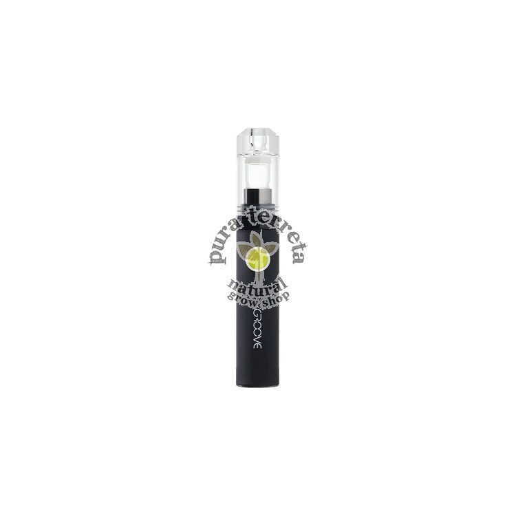 Vaporizador Groove Cara Plus