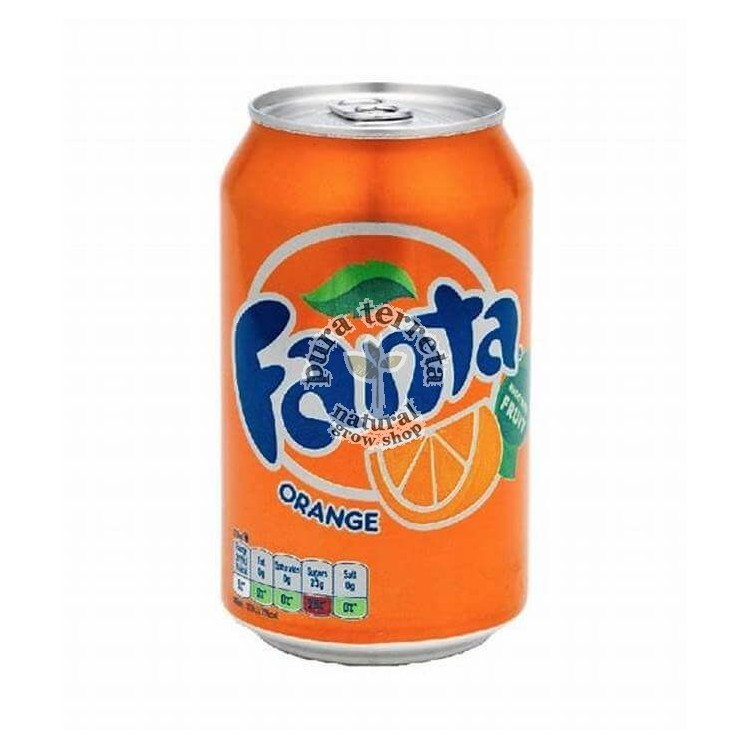 Bote seguridad naranja