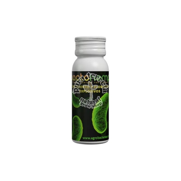 Bactohemp crecimiento