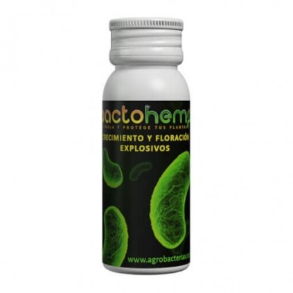 Bactohemp crecimiento
