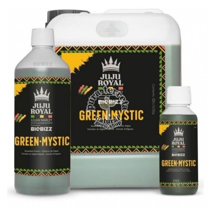 Green Mystic Juju Royal Biobizz
