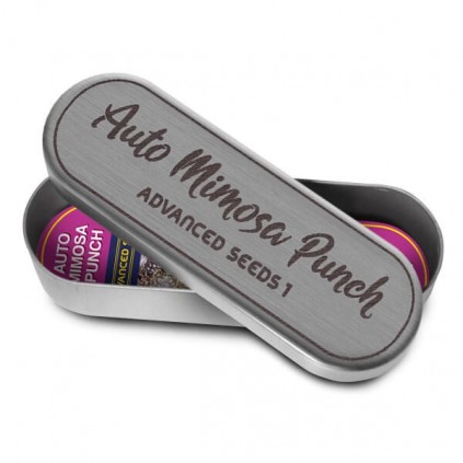 Auto Mimosa Punch Advanced