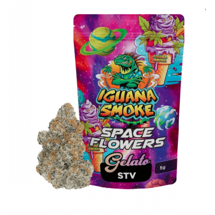Space Flowers STV Iguana Smoke