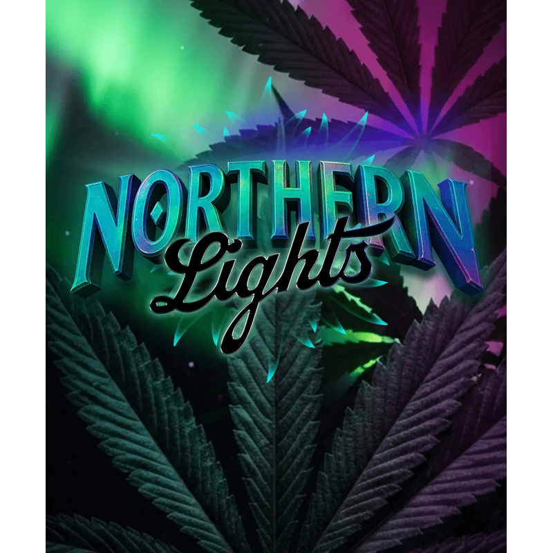 Northern Lights Barney´s Farm