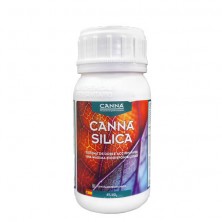 Canna Silica