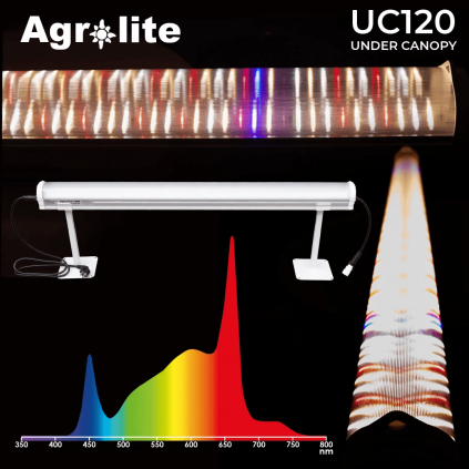 Under Canopy LED 120W Agrolite (no cable)
