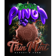 Thin Mint x Sour Pinot Auto Barney´s Farm