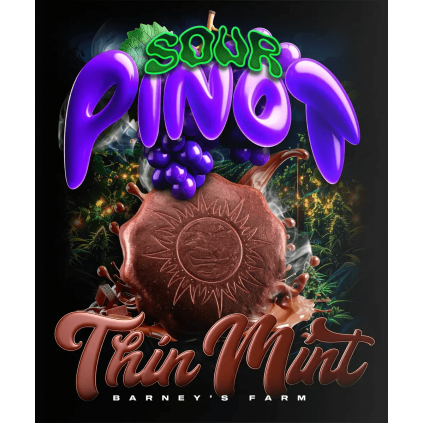 Thin Mint x Sour Pinot Auto Barney´s Farm