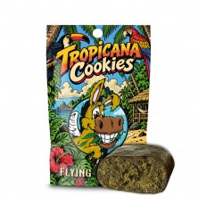 Flying Burrito CBD Hash Tropicana Cookies