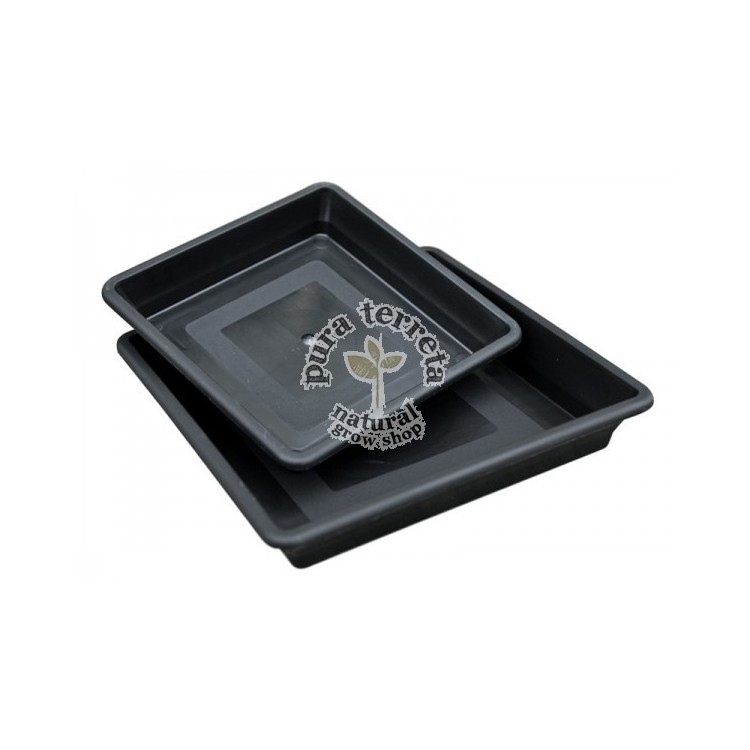 Platos negros cuadrados