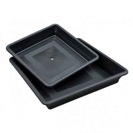 Platos negros cuadrados