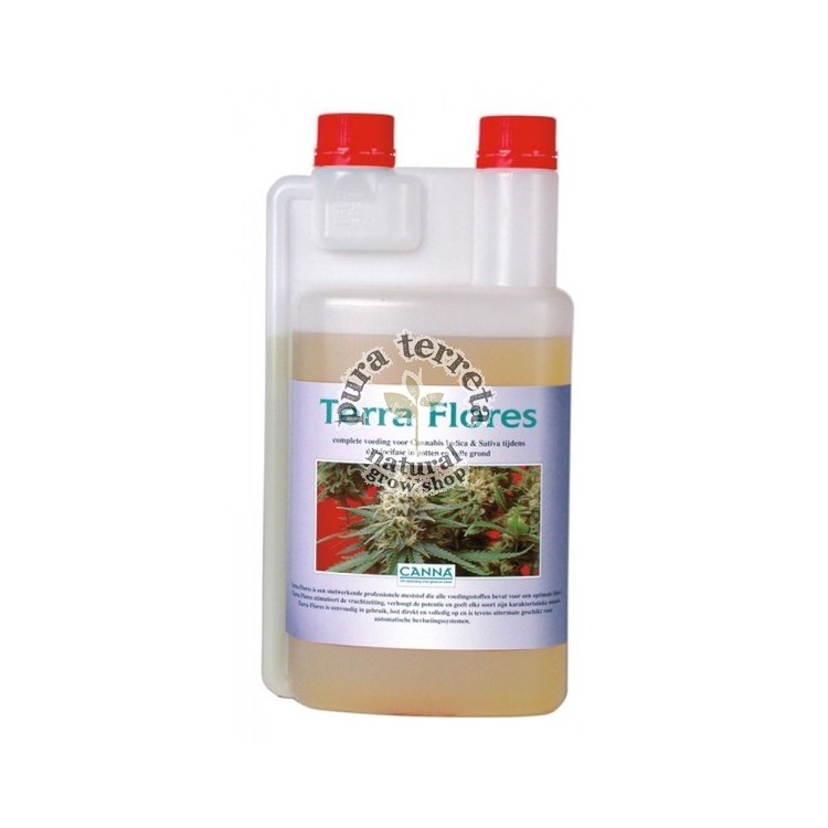 Terra Flores Canna