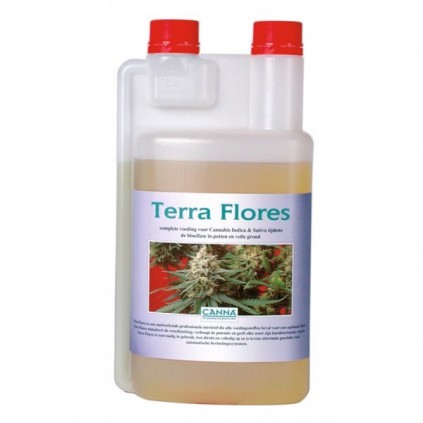 Terra Flores Canna