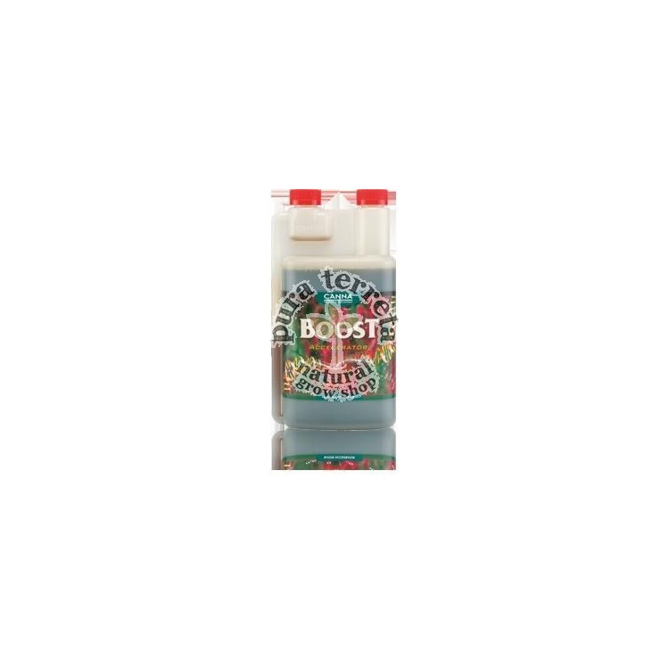 Boost 250 ml Canna