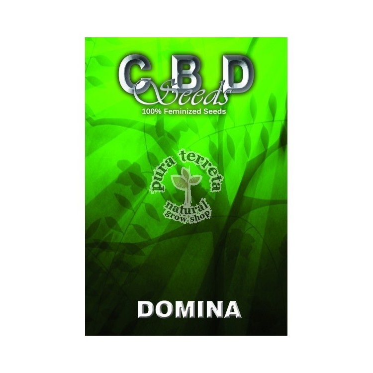 Cbd seeds. Domina