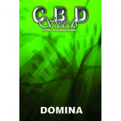 Cbd seeds. Domina