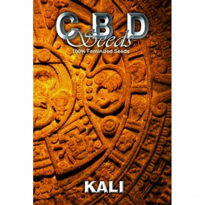 Cbd seeds. Kali