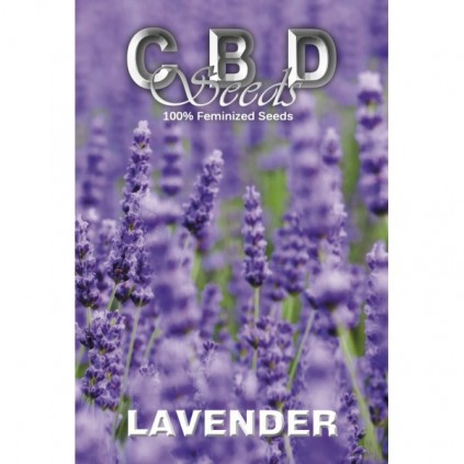 Cbd seeds. Lavender