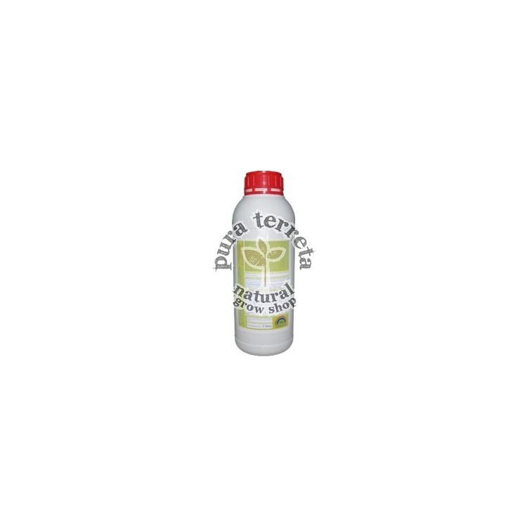 Ekisan Cola de caballo