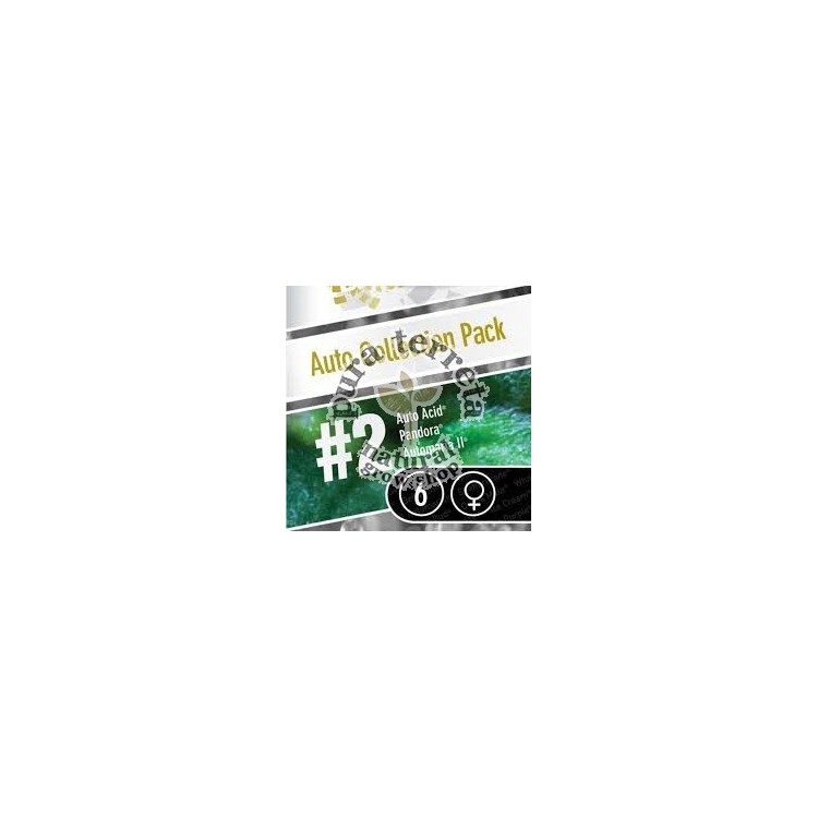 Auto coleccion 2 Paradise Seeds