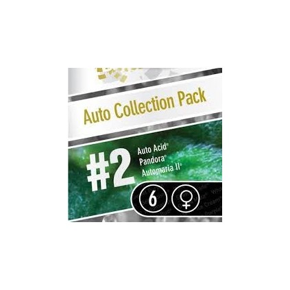 Auto coleccion 2 Paradise Seeds