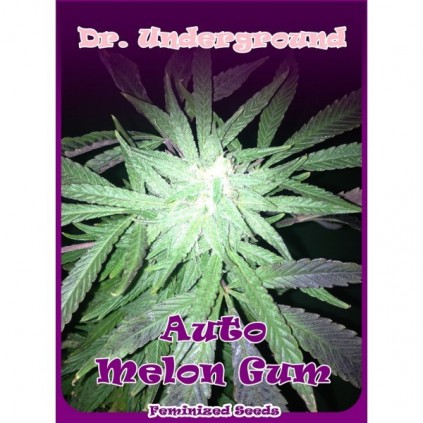 Melon Gum auto. Dr. Underground