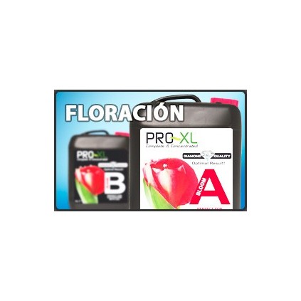 Bloom A&B Pro-XL