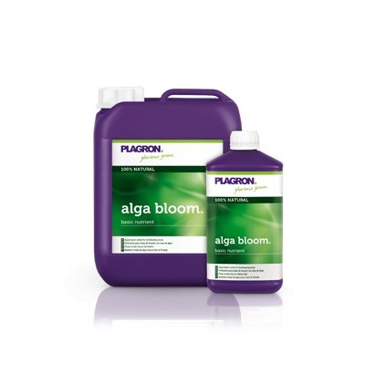 Alga bloom Plagron 