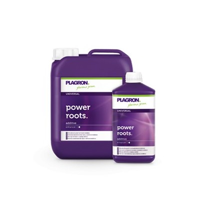 Power roots Plagron 