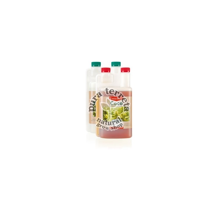 Coco A&B Canna