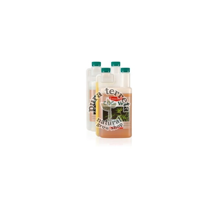 Coco COGR Vega Canna