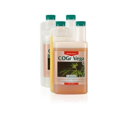 Coco COGR Vega Canna