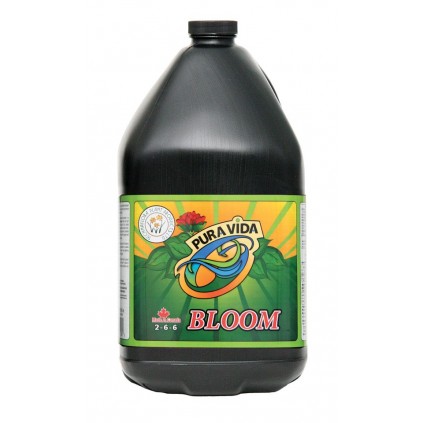 Pura Vida bloom Technaflora 