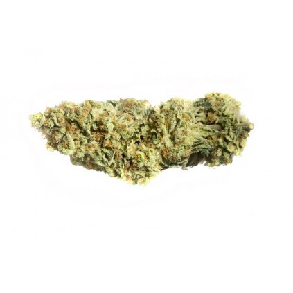 Dr. Greenthumb´s Em-dog Humboldt 