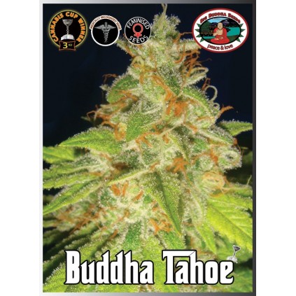 Buddha Tahoe Big Buddha