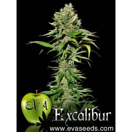 Excalibur Eva seeds