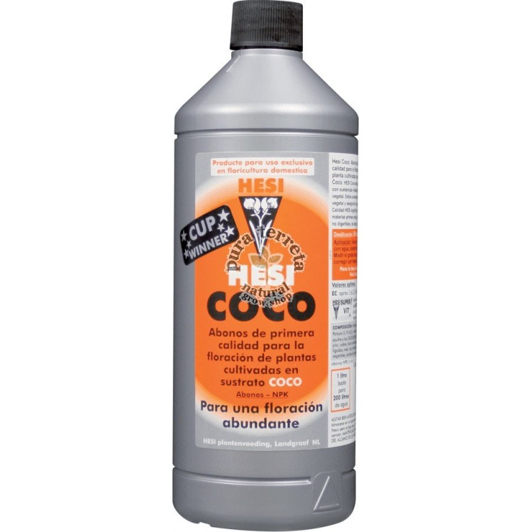 Coco Hesi