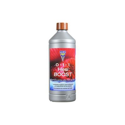 Boost Hesi