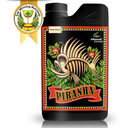 Piraña Piranha Advanced