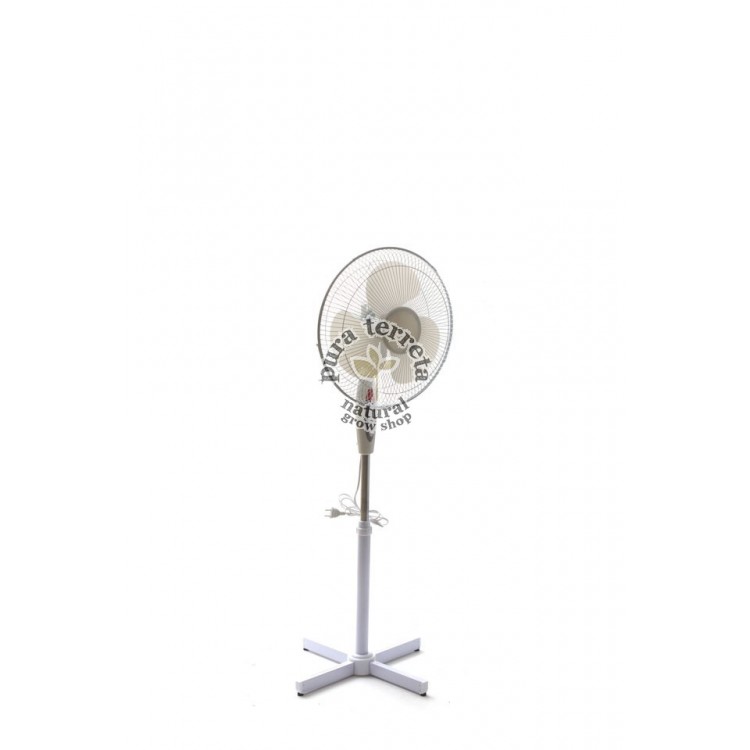 Ventilador de pie Vanguard