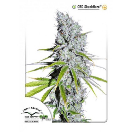 CBD Skunkhaze Dutch Passion