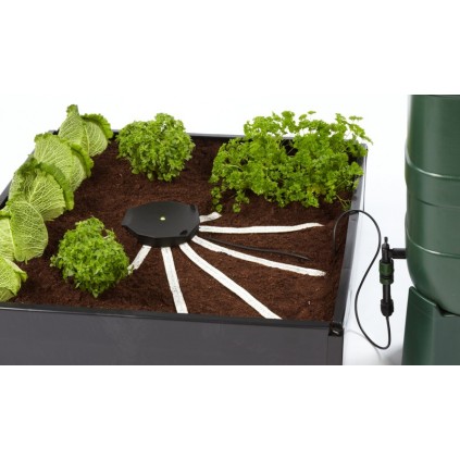 Aquabox Spyder Autopot 
