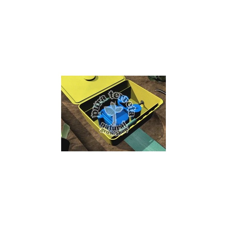Aquabox Straight Autopot