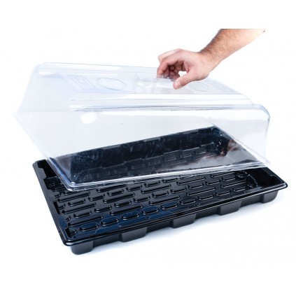 Propagador eco