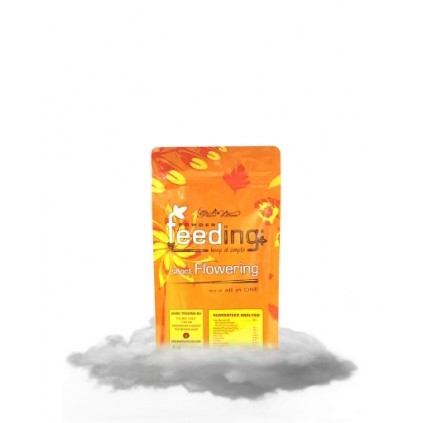 Powder Feeding Short Flower 125gr