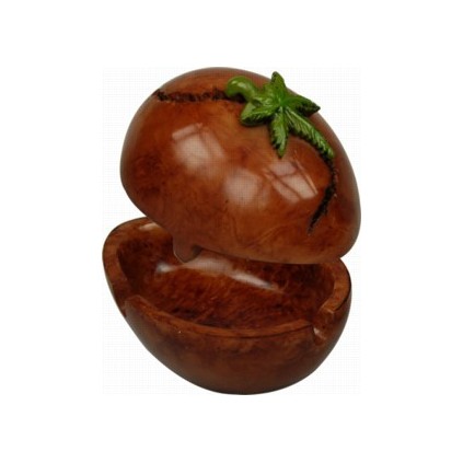 Cenicero semilla