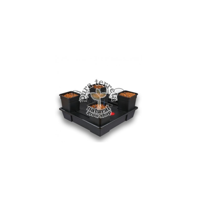 Wilma XXL5 completo 25L