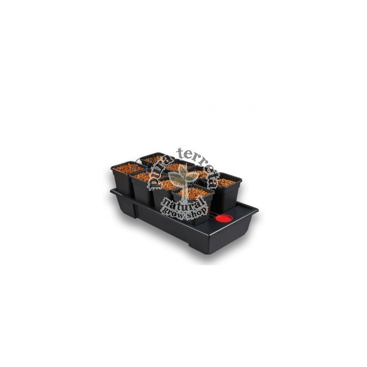 Wilma Small8 completo 11L
